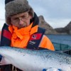 鲜活三文鱼挪威鮭品厂家诚招各地经销商